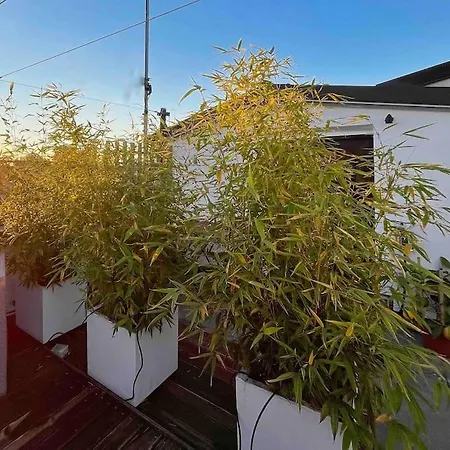 Terrazza57 In Centro Storico * فيرّارا