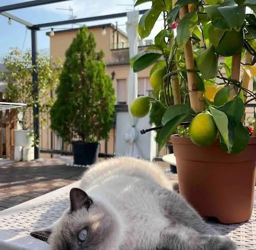 شقة Terrazza57 In Centro Storico *