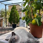 Lägenhet Terrazza57 In Centro Storico *