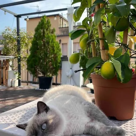 Lägenhet Terrazza57 In Centro Storico *